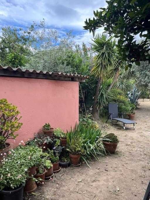 Maison De Village Vintage Avec Grand Jardin Elne Exteriér fotografie